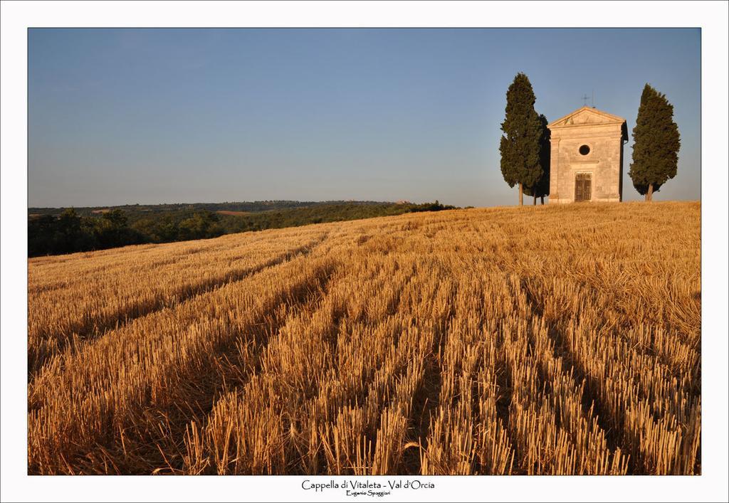 Casetta Del Pozzo Seggiano Rum bild